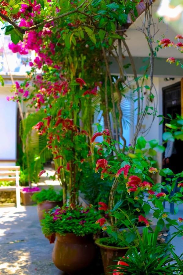 Garden Lodge Zanzibar Exterior photo